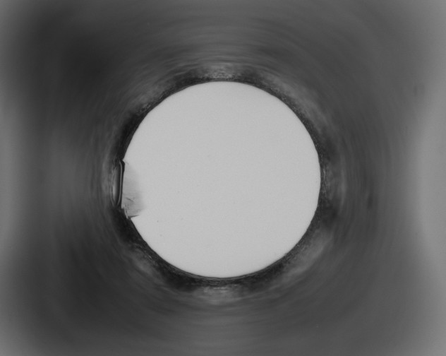 X0000086760307200705111720