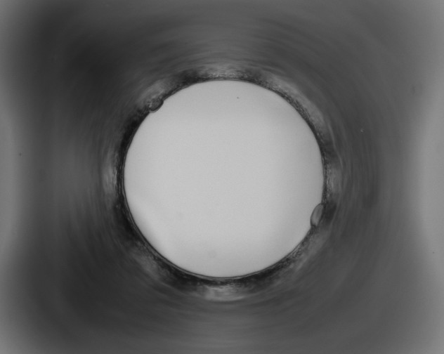 X0000086760309200705111720