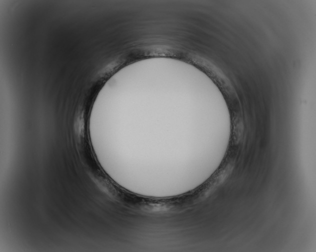 X0000086760310200705111720