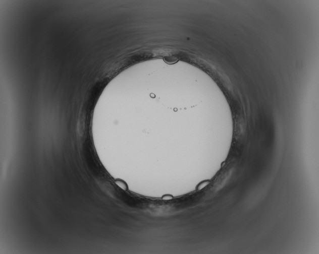 X0000086760311200705111720