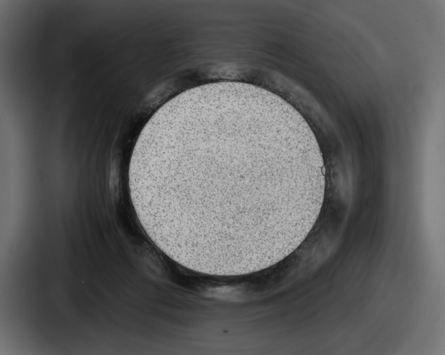 X0000086760312200705111720