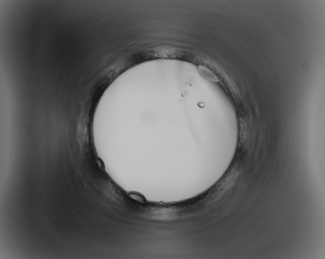 X0000086760313200705111720