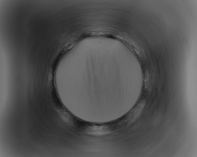 X0000086760314200705111720