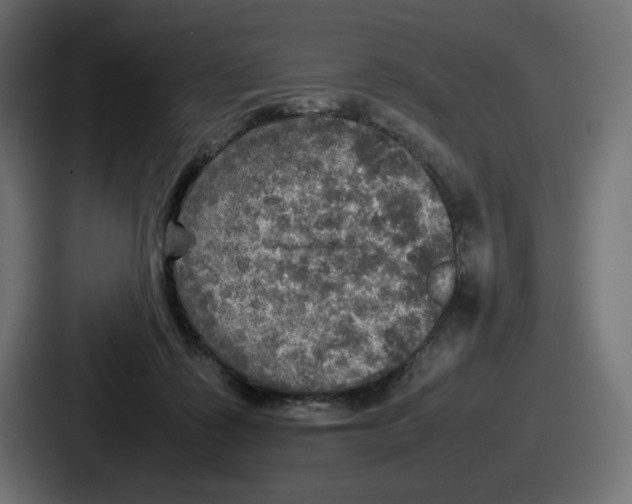 X0000086760315200705111720