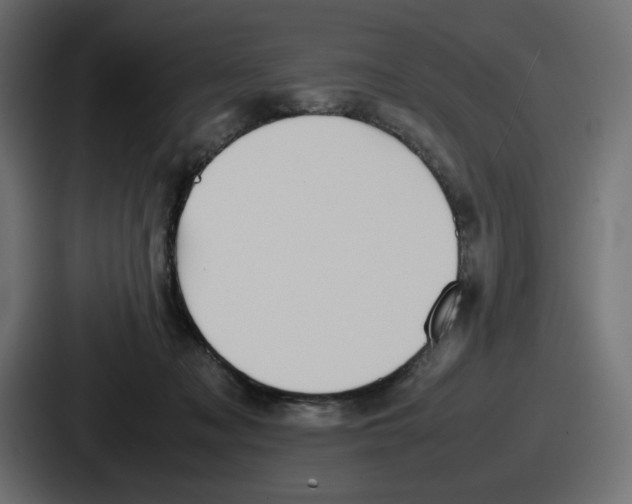X0000086760317200705111720