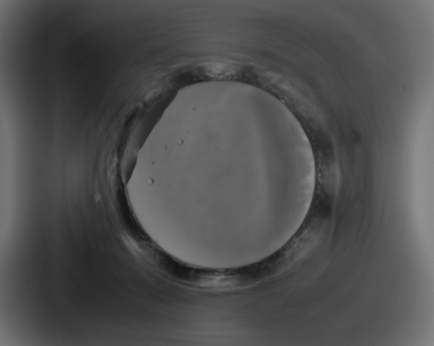 X0000086760319200705111720