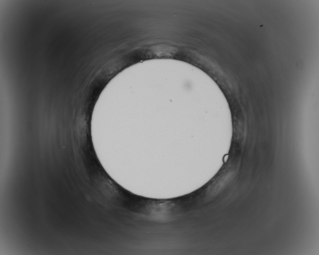 X0000086760321200705111720