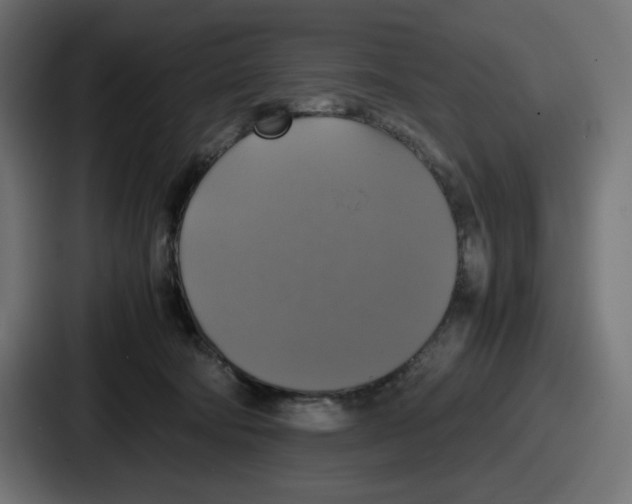 X0000086760322200705111720