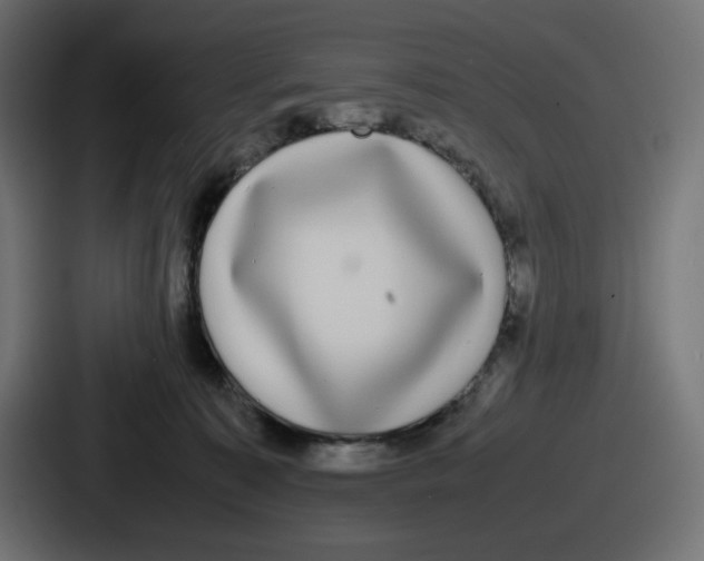 X0000086760323200705111720
