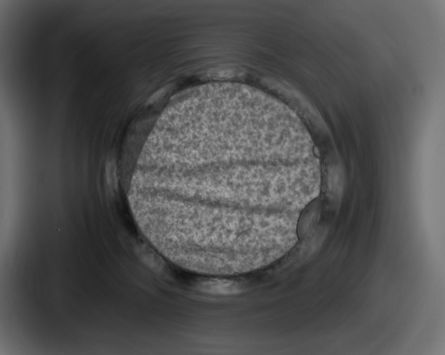 X0000086760326200705111720