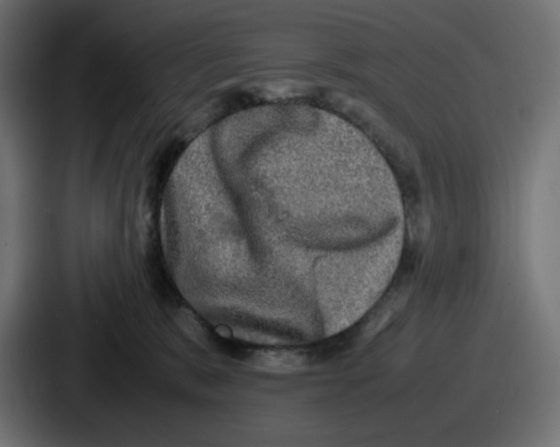 X0000086760327200705111720