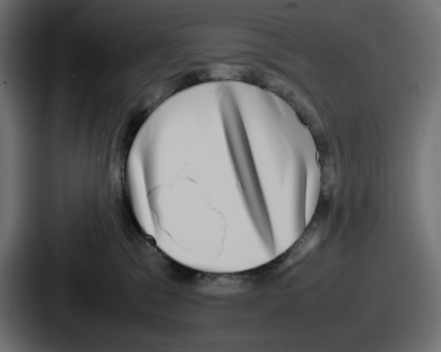 X0000086760329200705111720