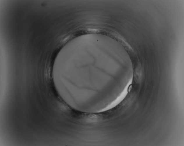 X0000086760330200705111720