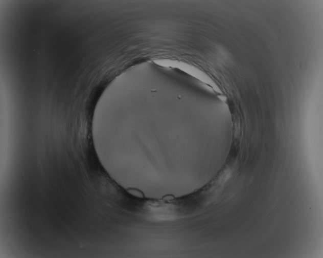 X0000086760331200705111720