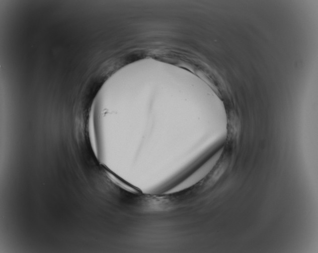 X0000086760333200705111720