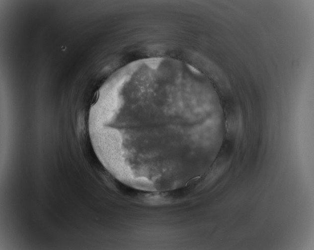 X0000086760335200705111720