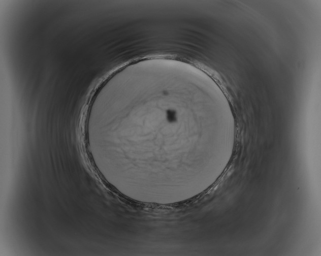 X0000086760337200705111719