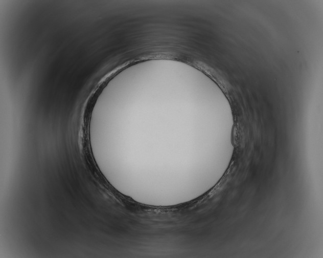 X0000086760338200705111719