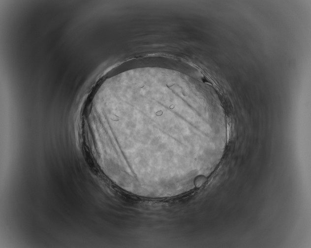 X0000086760339200705111719