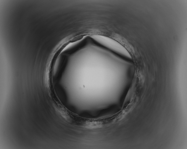 X0000086760340200705111719