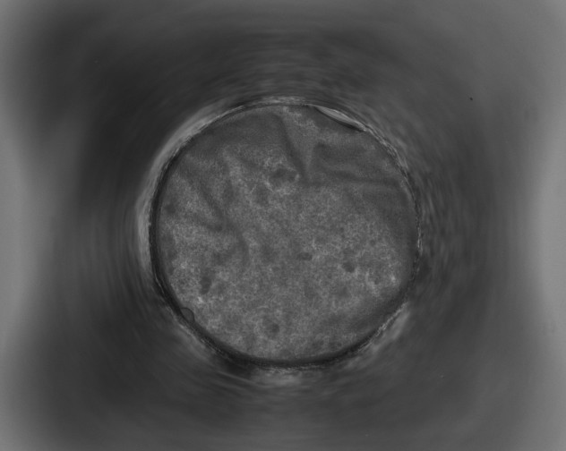 X0000086760341200705111719