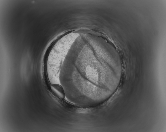 X0000086760342200705111719
