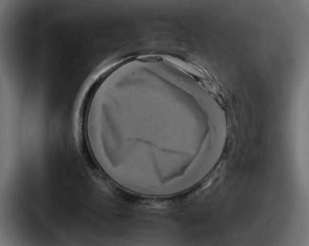 X0000086760343200705111719