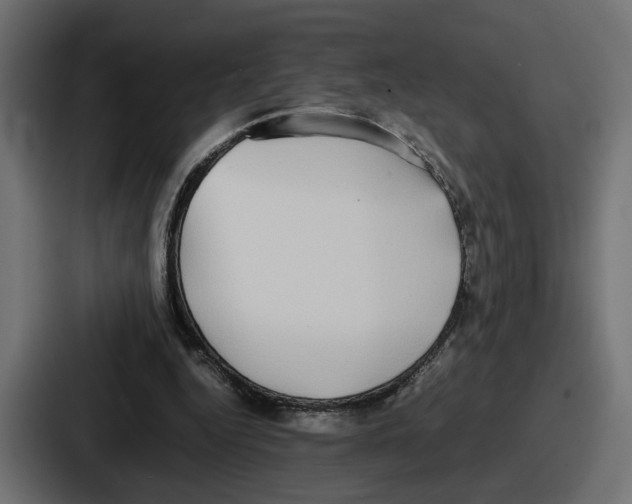 X0000086760344200705111719