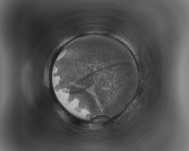 X0000086760345200705111719