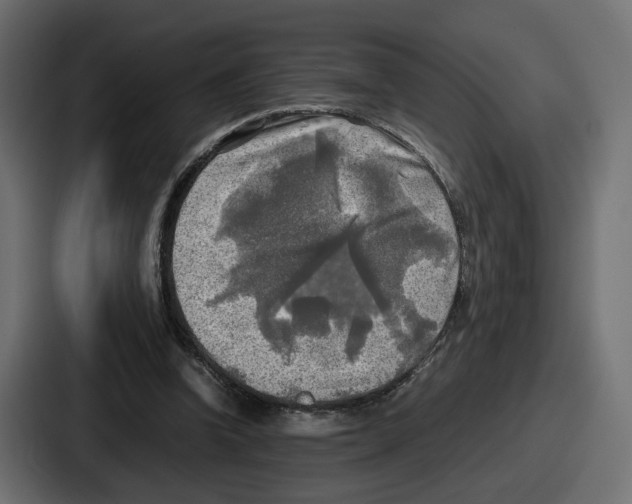 X0000086760346200705111719