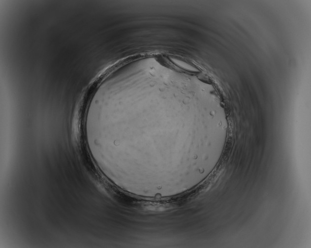 X0000086760347200705111719