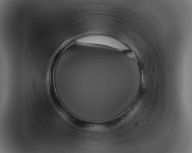 X0000086760348200705111719