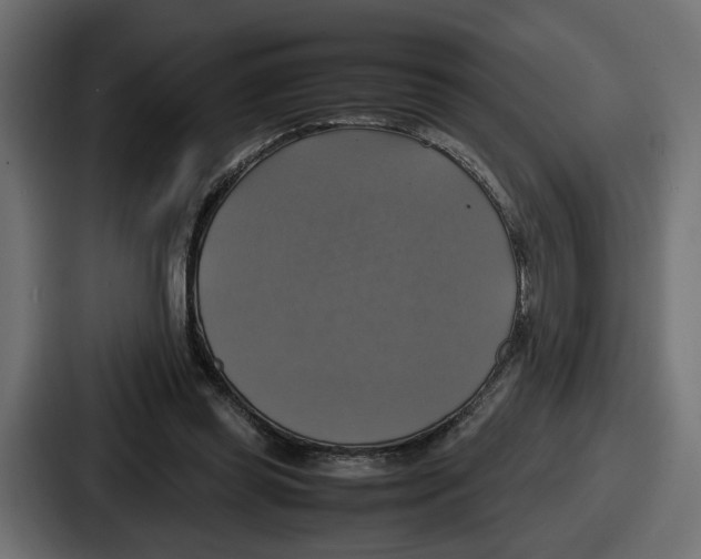 X0000086760349200705111719
