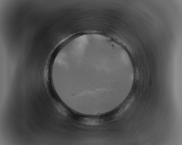 X0000086760351200705111719