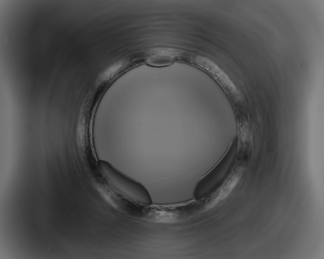 X0000086760352200705111719