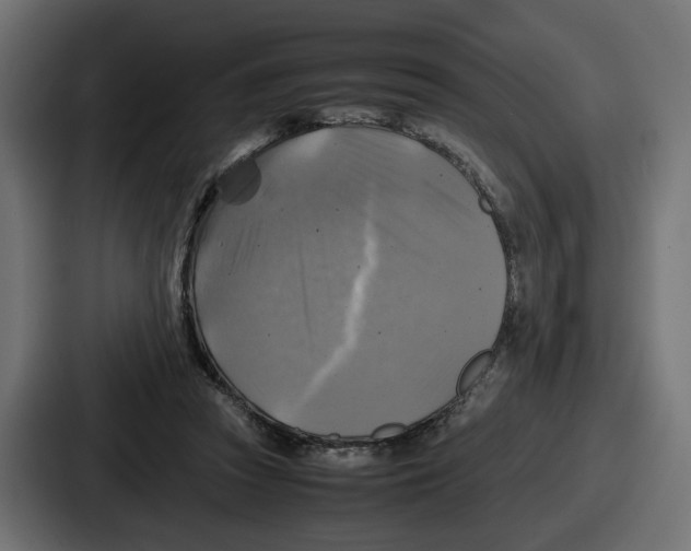 X0000086760353200705111719