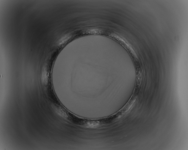 X0000086760355200705111719