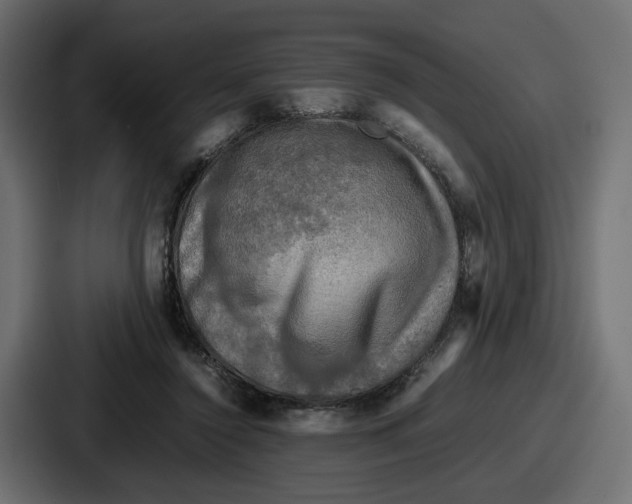 X0000086760356200705111719