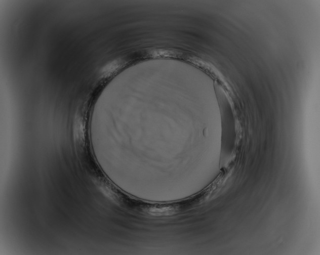 X0000086760357200705111719