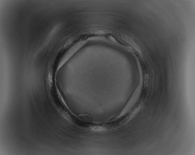 X0000086760358200705111719