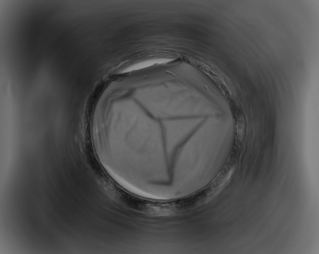 X0000086760359200705111719