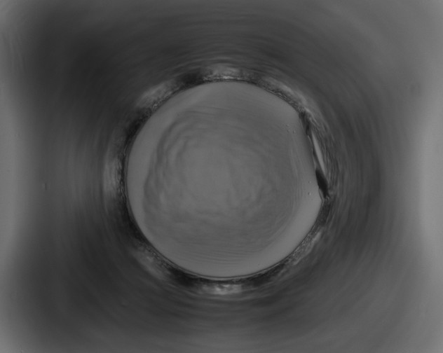 X0000086760361200705111719