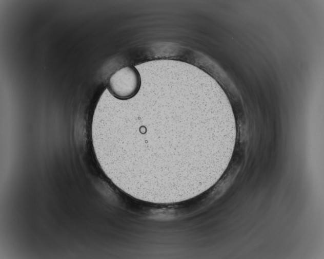 X0000086760362200705111719