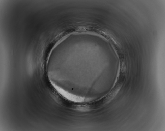 X0000086760363200705111719