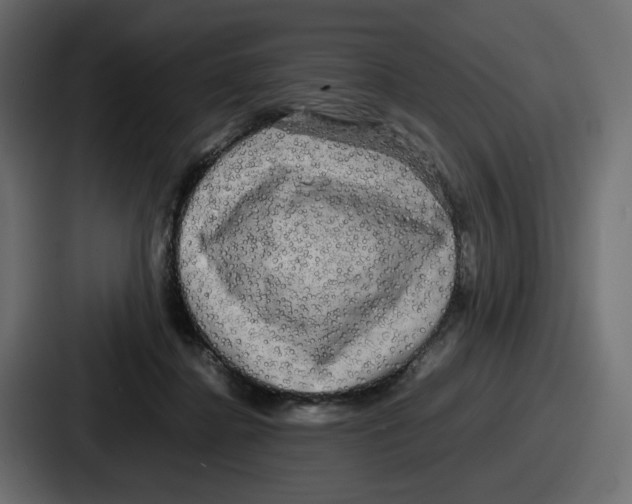 X0000086760364200705111719