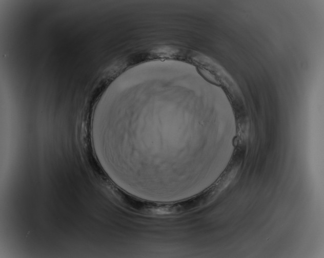 X0000086760365200705111720