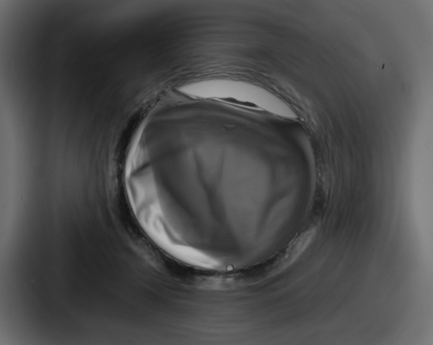 X0000086760366200705111720