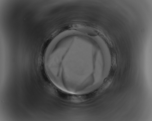 X0000086760367200705111720