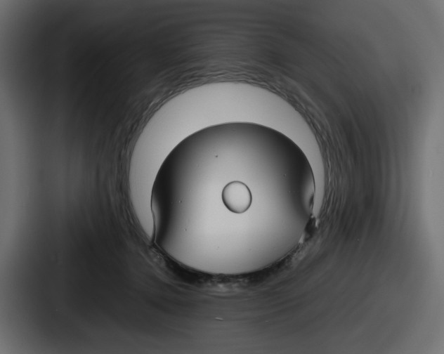 X0000086760368200705111720