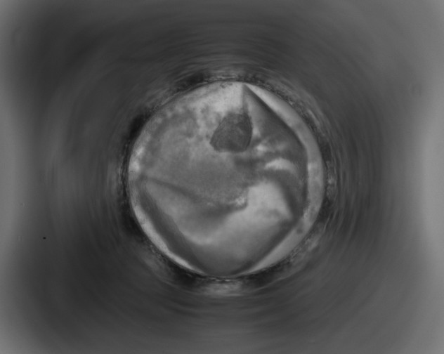 X0000086760369200705111720